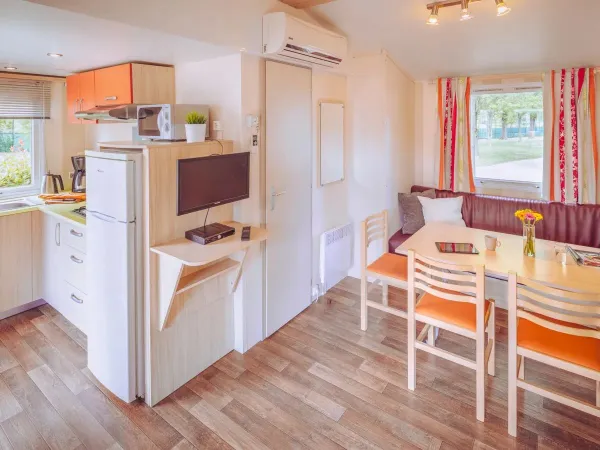 Comfort Plus Lounge Bijela Special 3