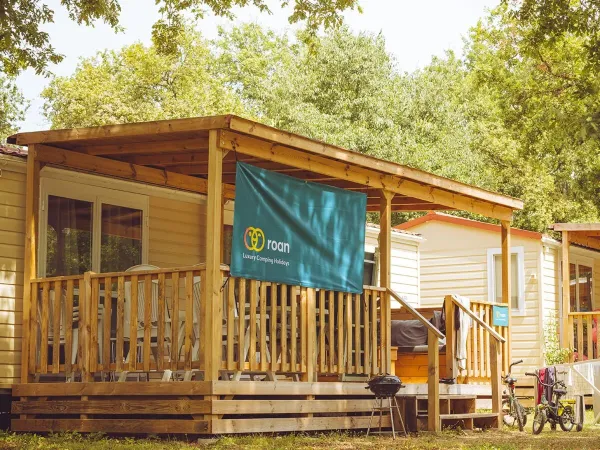 Die Roan Premium Lounge Compact.