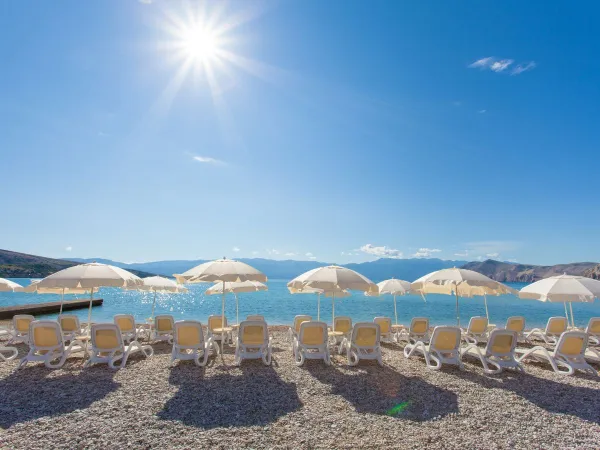 Sonnenliegen am Strand des Roan camping Baška Camping Resort.