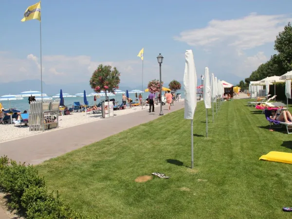 Grasbewachsener Strand beim Roan Camping Butterfly.