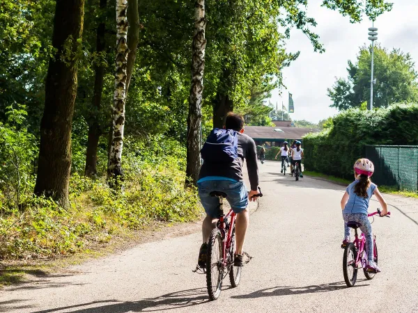 Radfahrender Mann und Kind auf dem Roan-Campingplatz De Schatberg.