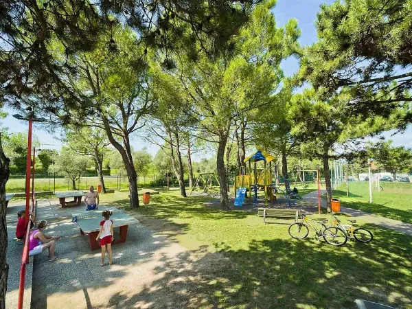 Spielplatz auf dem Campingplatz Roan Delle Rose.