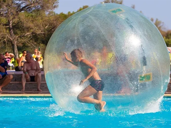 Wasserball-Aktivität auf dem Roan-Campingplatz La Pierre Verte.