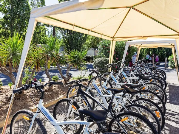 Fahrradverleih auf dem Roan-Campingplatz Les Sablines.