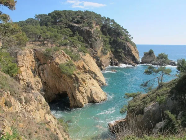 Felsenküste in der Nähe des Roan-Campingplatzes Playa Brava.