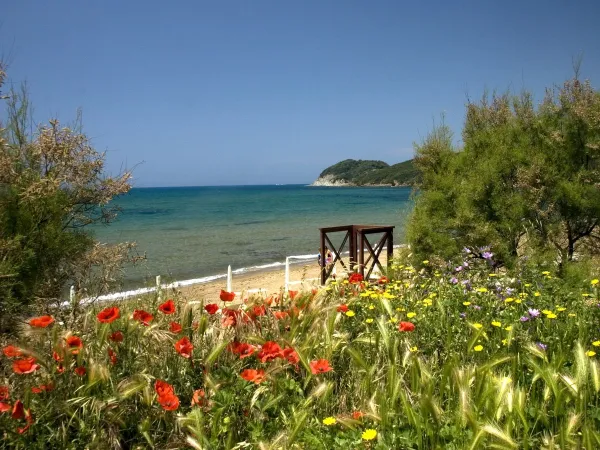 Strand und Meer in der Nähe von Roan Camping Park Albatros.