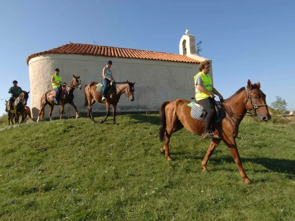 Reiten auf dem Campingplatz Roan in der Ferienanlage Zaton.