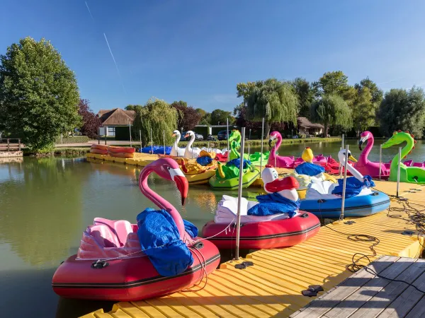 Luftkissenboote auf der Aisne.