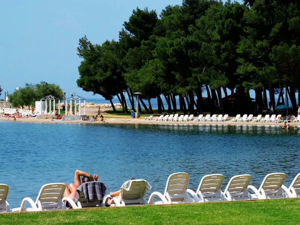 Sonnenliegen am Strand in der Nähe von Roan camping Stella Maris.