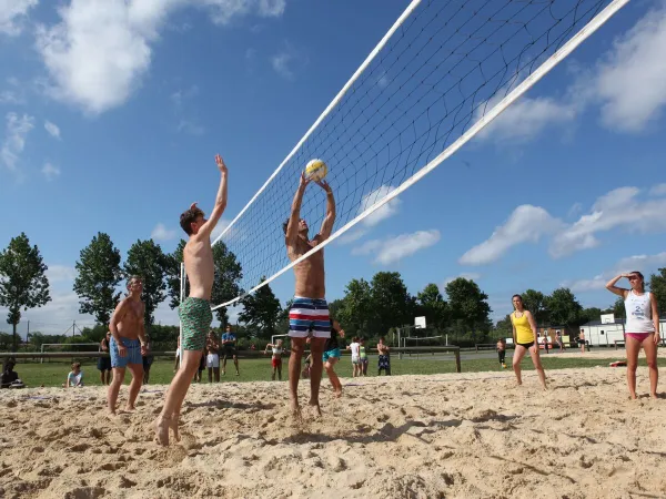 Beachvolleyball auf dem Campingplatz Roan in Le Vieux Port.