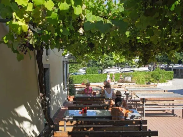 Schattiger Stellplatz auf dem Roan-Campingplatz Lido Verbano.