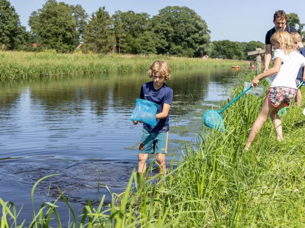 Aktivitäten in der Slinge auf dem Roan-Campingplatz De Twee Bruggen.