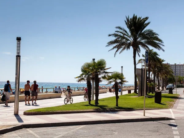 Die Promenade von Blanes auf dem Roan Camping El Pinar.