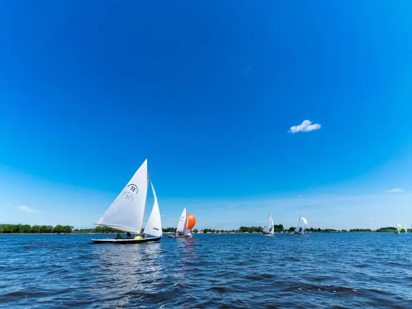 Boot auf dem Slotermeer beim Roan Camping Marvilla Parks Friese Meren.