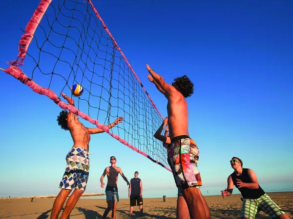 Volleyballplatz auf dem Campingplatz Roan Mediterraneo.