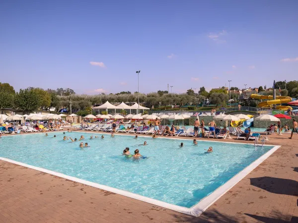 Übersicht über das lebhafte Schwimmbad auf dem Campingplatz Roan Delle Rose.
