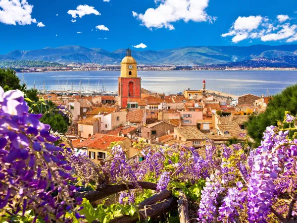 Die Stadt Saint-Tropez in der Nähe von Roan Camping Domaine Naïades.