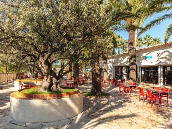 Terrasse und Bar auf dem Roan Campingplatz La Baume.