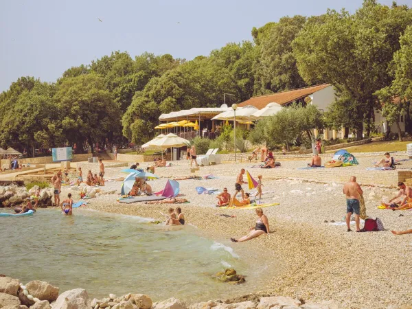 Stimmungsbild Strand am Roan Campingplatz Zelena Laguna.