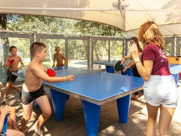 Tischtennis auf dem Campingplatz Domaine Massereau in Roan.