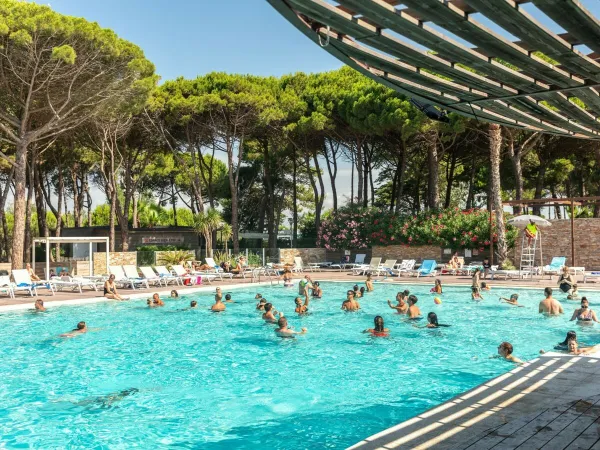 Das Schwimmbad auf dem Roan Campingplatz Le Castellas.