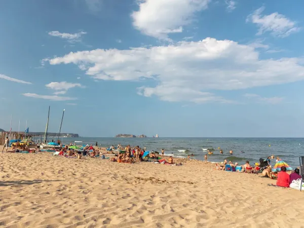 Gemütlicher Strandplatz auf dem Campingplatz Roan in Playa Brava.