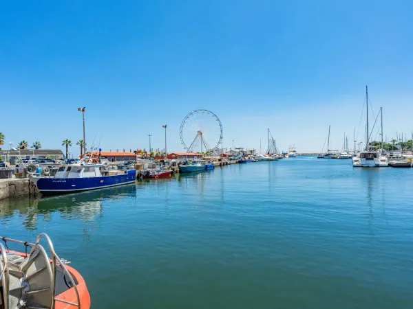 Das Dorf zu Fuß erreichbar Saint-Cyprien, von Roan camping Le Soleil de la Méditerranée.