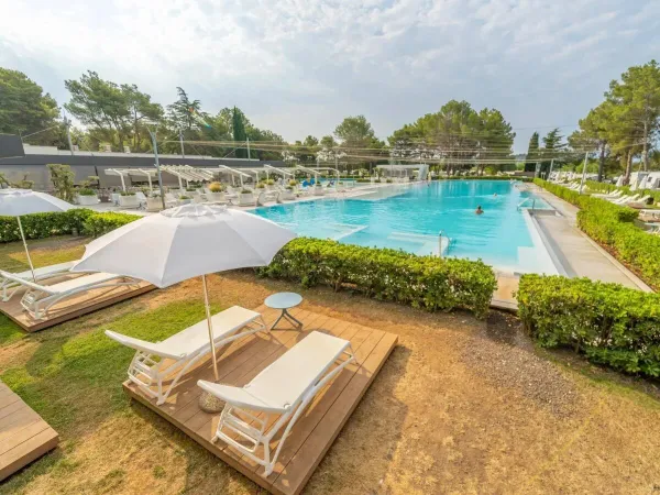 Liegestühle und Sonnenschirme am schönen Pool des Roan Camping Valanela.