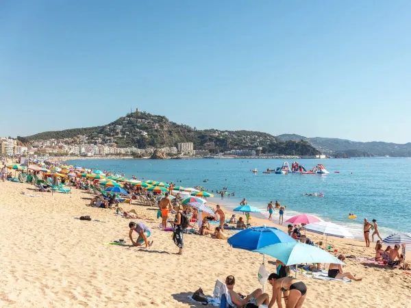 Am Sandstrand des Roan Camping El Pinar wird ein Sonnenbad genommen.