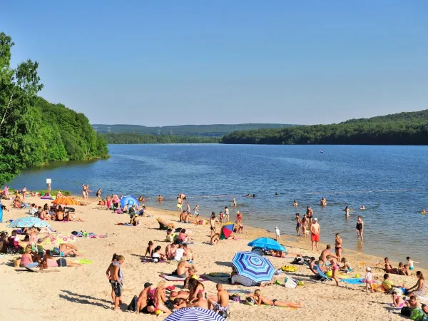 Familien sonnen sich am Strand des Sees auf dem Roan-Campingplatz Le Lac des Vieilles Forges.