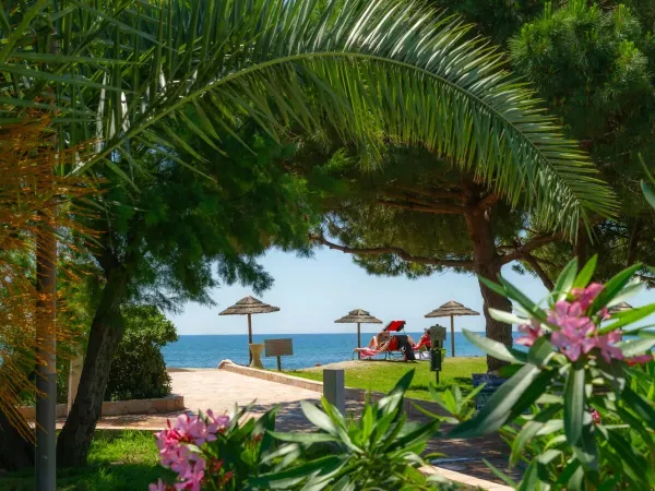 Viel Grün auf dem Roan-Campingplatz Arinella Bianca, Sonnenschirme am Strand.