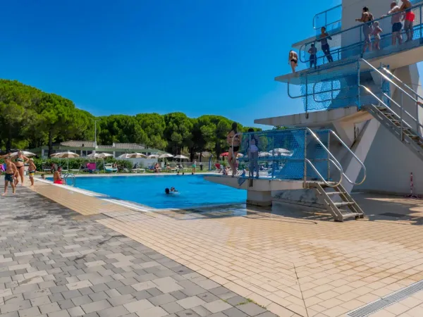 Sprungbretter auf dem Campingplatz Marina Julia Camping Village in Roan.