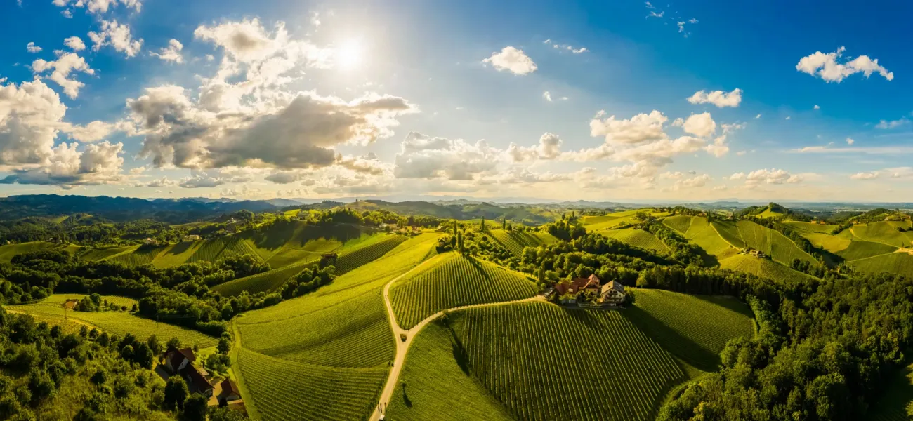 Panoramafoto der steirischen Landschaft.