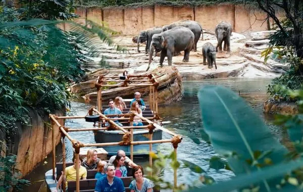 Campingplätze in der Nähe eines Zoos