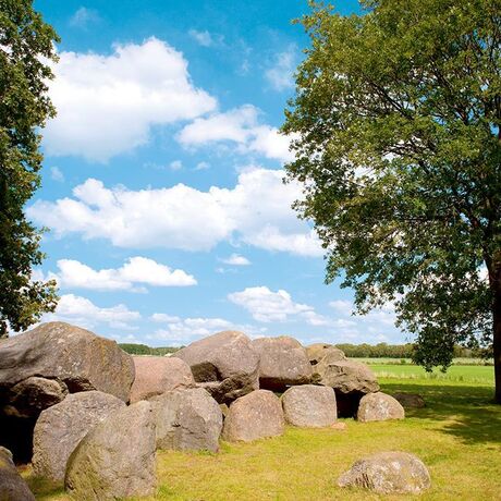 Unsere Campingplätze in Drenthe