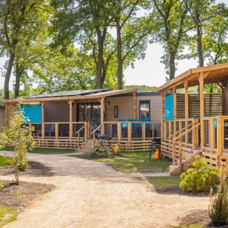 Wo in Holland Urlaub machen mit Kindern?