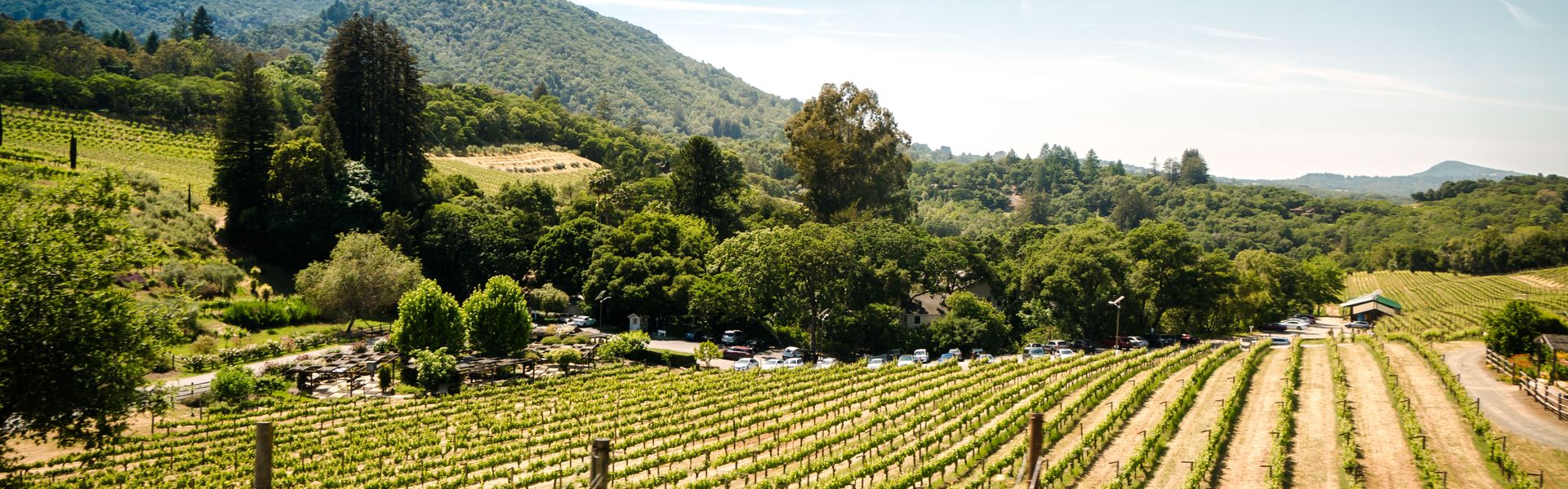 Last-Minute-Campingurlaub in der Provence